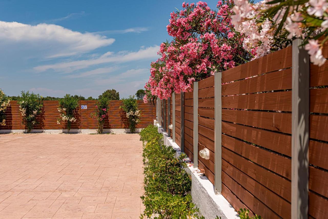 Blossom Villa Laganas Exteriör bild