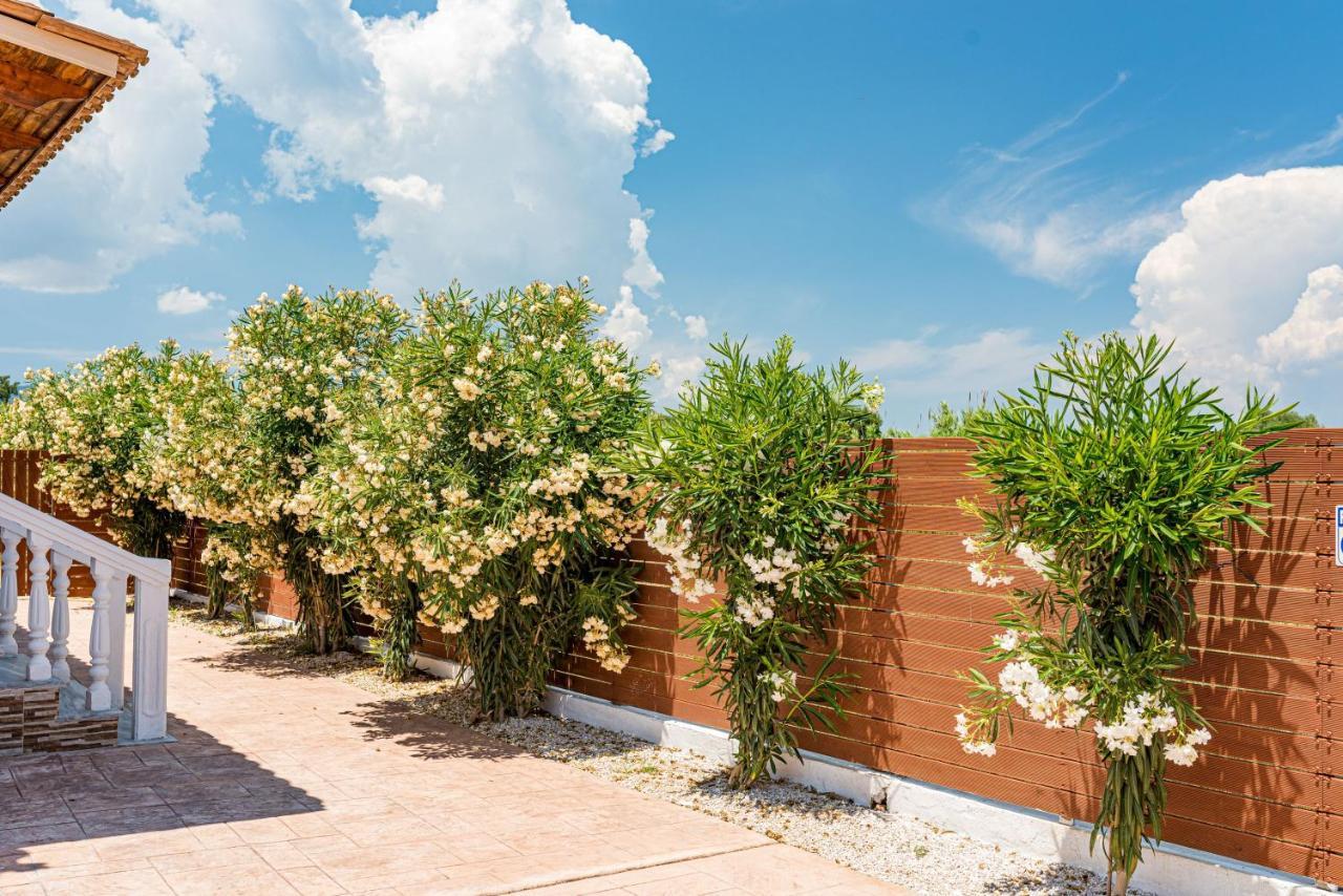 Blossom Villa Laganas Exteriör bild
